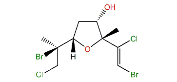 Furoplocamioid C